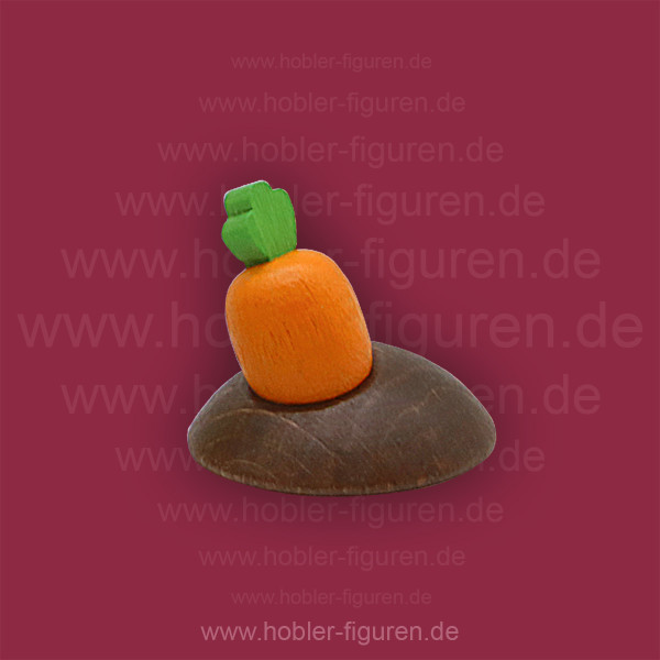 Möhrenbeet