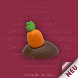 Möhrenbeet