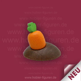 Möhrenbeet